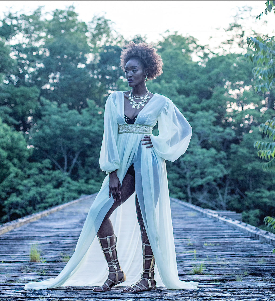 Chiffon goddess dress Xstravagance designs Chiffon goddess dress Xstravagance designs